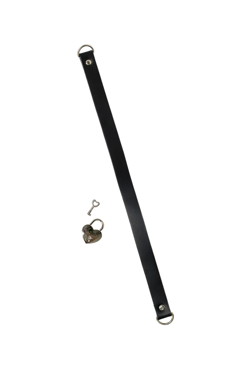 ошейник party hard utopia 1091-01lola в Сочи