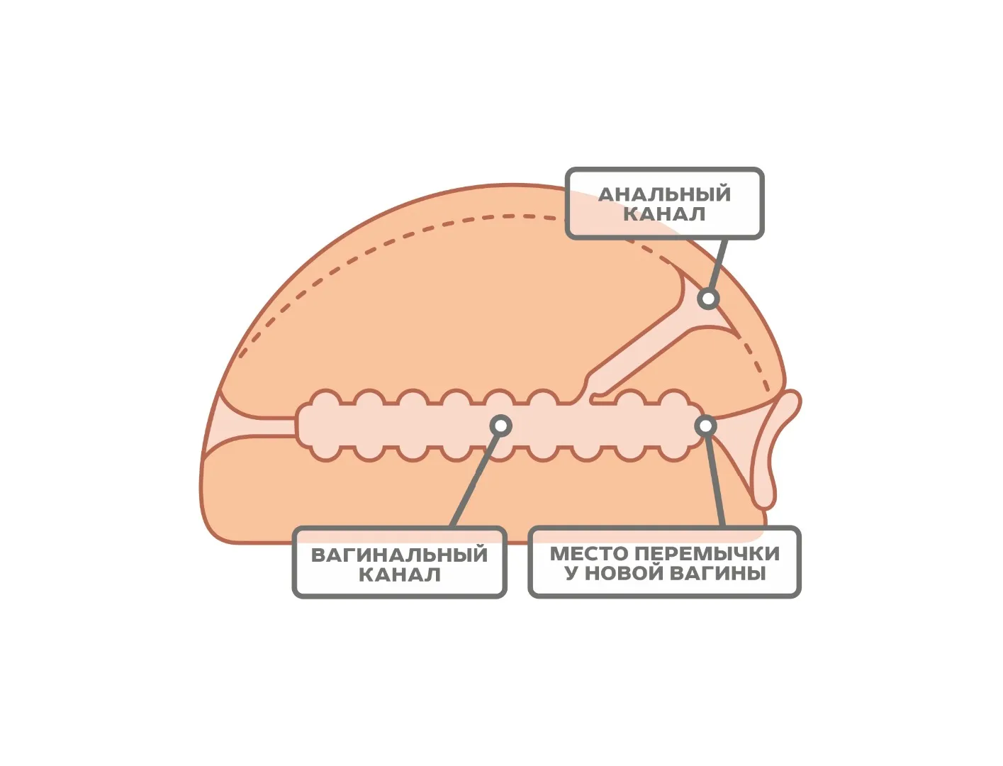 мастурбатор для мужчин 659401ru в Сочи