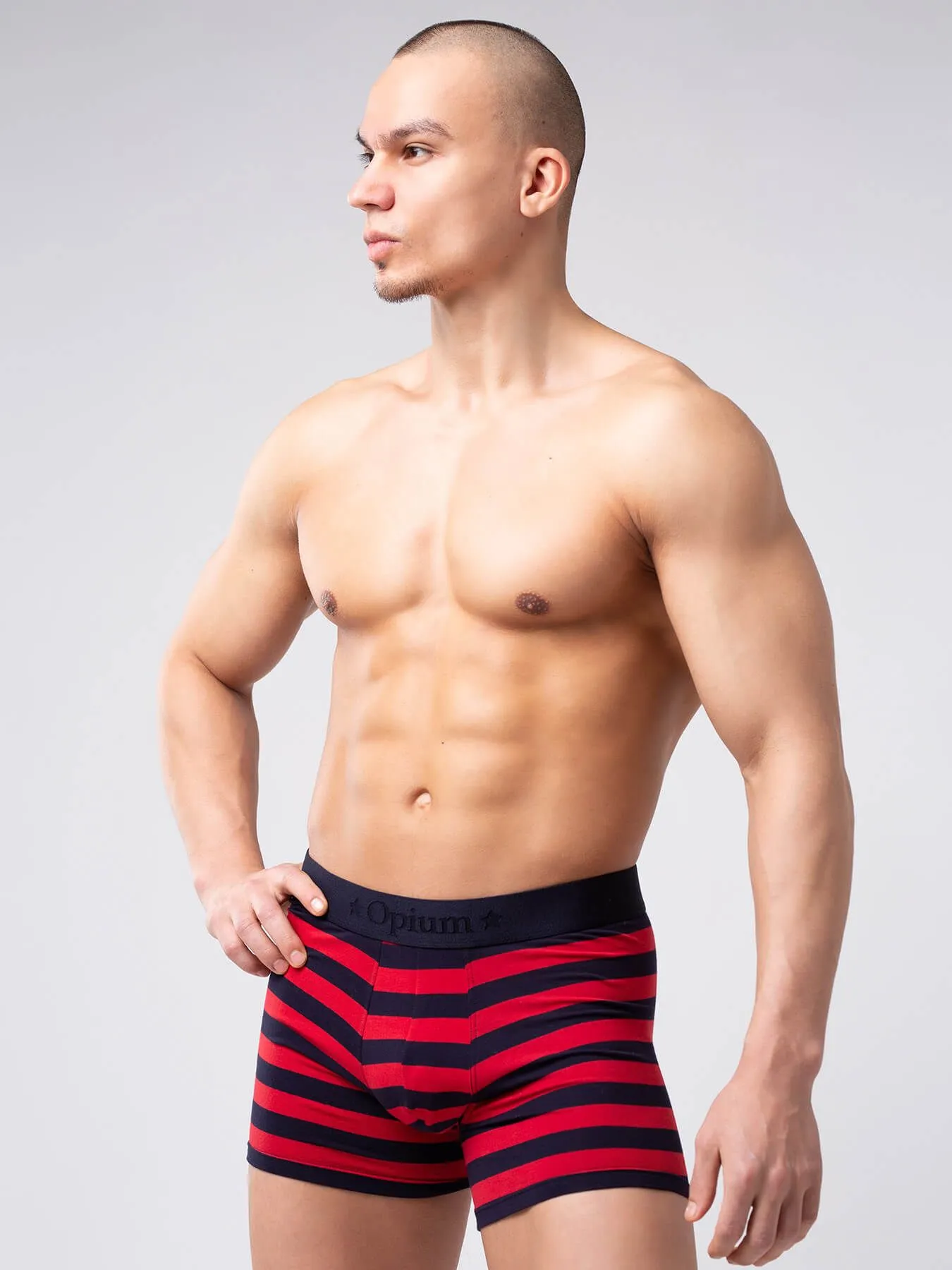 Эротическое трусы мужские удлиненные боксеры opium r126 в полоску в Сочи
