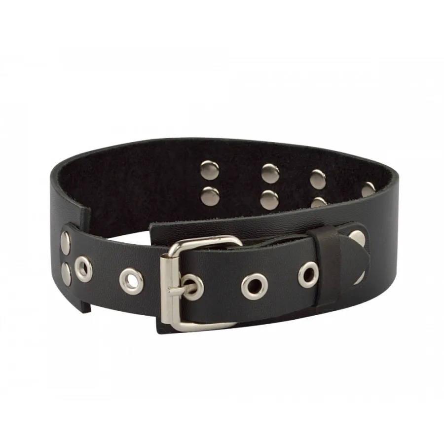 ошейник с кольцом 3195-1 в Сочи