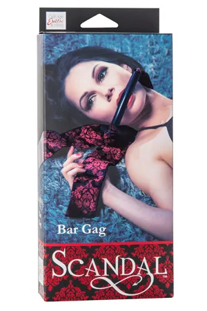 кляп транцель (удила) scandal bar gag в Сочи