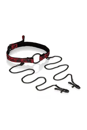 кляп-кольцо (кляп-рамка) с зажимами на соски scandal open mouth gag with clamps в Сочи