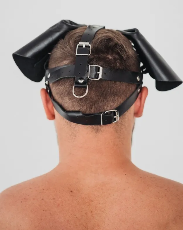 маска послушный пес из натуральной кожы 58017ars в Сочи