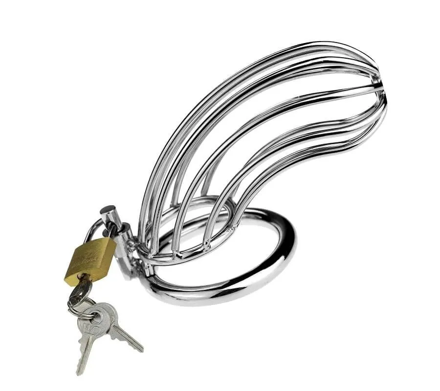 Пояс верности Lovetoy Chastity Bird Cockcage, серебристый